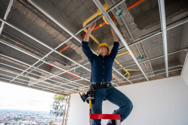 Best Commercial Plumbing Services  in Spring Hill, FL